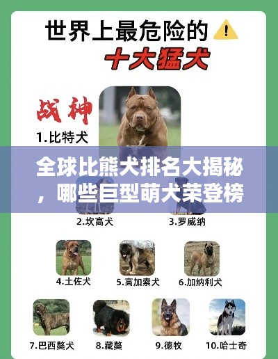 全球比熊犬排名大揭秘，哪些巨型萌犬荣登榜首？
